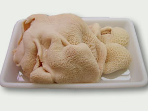 Tripa morena