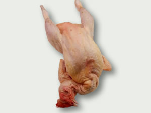 Gallina blanca 1ª entera