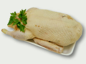 Pato barberie