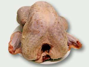 Pavo limpio (eviscerado)