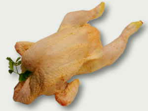Pollo entero categoria extra