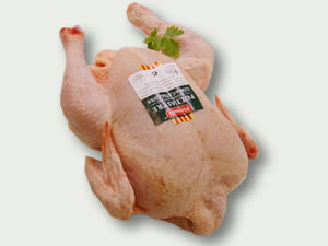 Pollo blanco 
