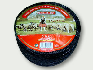 CERRATO 