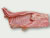 Pa�o de costillas cabrito