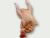 Gallina blanca 1� entera