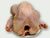 Pavo limpio (eviscerado)