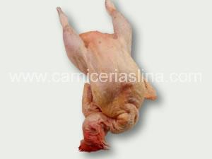 Gallina blanca 1ª entera