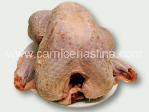 Pavo limpio (eviscerado)