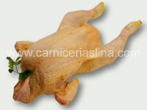 Pollo entero categoria extra