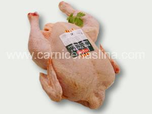 Pollo blanco 