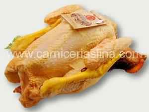 Pollo de corral